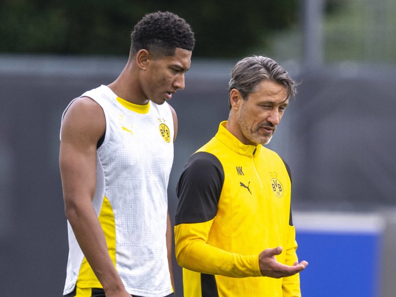 BVB-Fans aufgepasst! Borussia Dortmund macht wichtige Verkündung